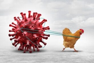 A group of chickens in a farm setting, some appearing sick and weak, symbolizing the impact of bird flu disease.