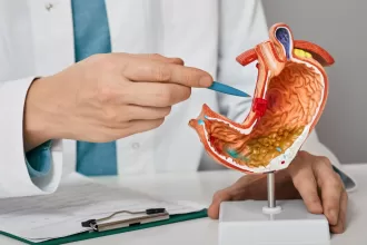 A doctor presents a stomach model, illustrating differences between gastric sleeve and gastric bypass procedures.