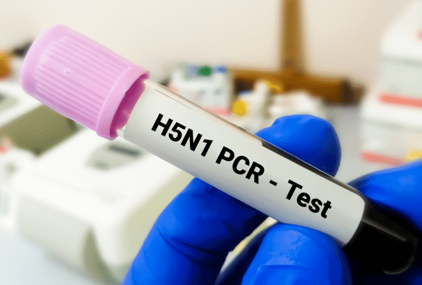 H5N1 Bird Flu Outbreak