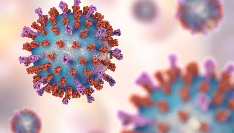 Human Metapneumovirus Respiratory Infection