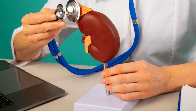 Kidney Transplant Technology