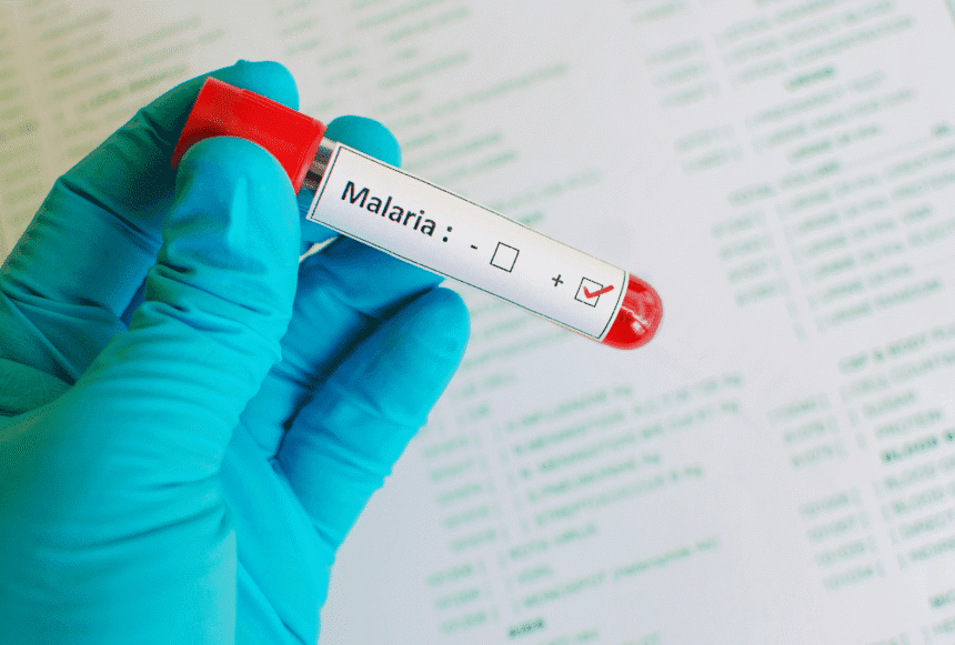 Malaria eradication efforts