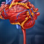 Stress and heart risks