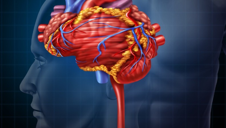 Stress and heart risks