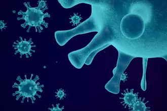 Image of a blue coronavirus, highlighting its structure, with a reference to H5N1 Bird Flu deaths.